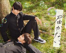 网站优化包年多少钱